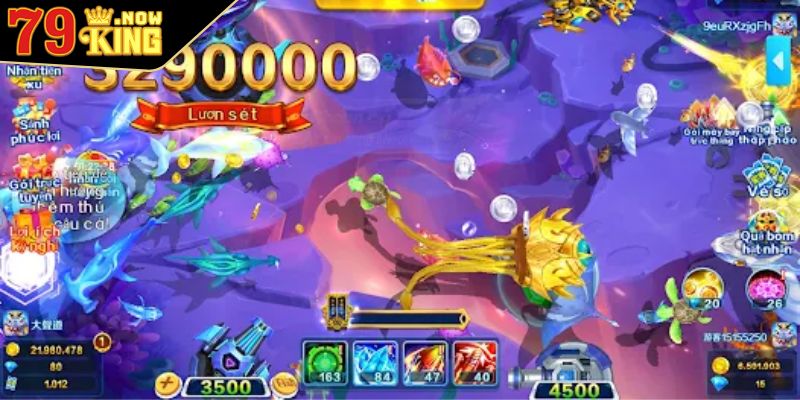 Lưu ý quan trọng khi tham gia săn cá Chép cho ngư thủ